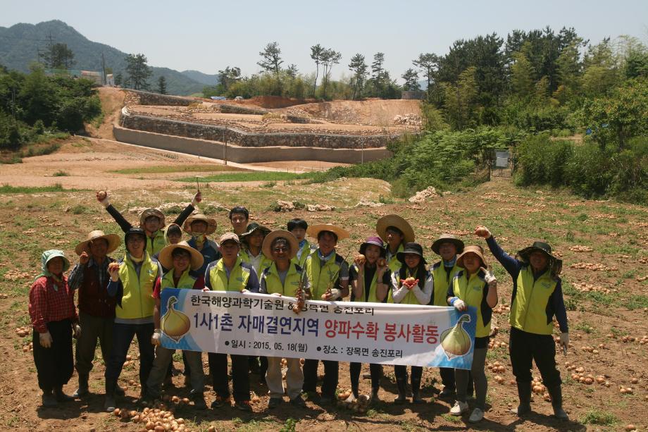 남해연구소 사회공헌활동 양파수확지원_1_image4