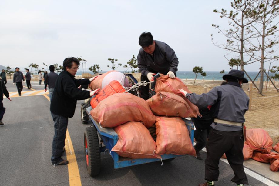 동해연구소내 식목행사 및 해변정화작업_image10