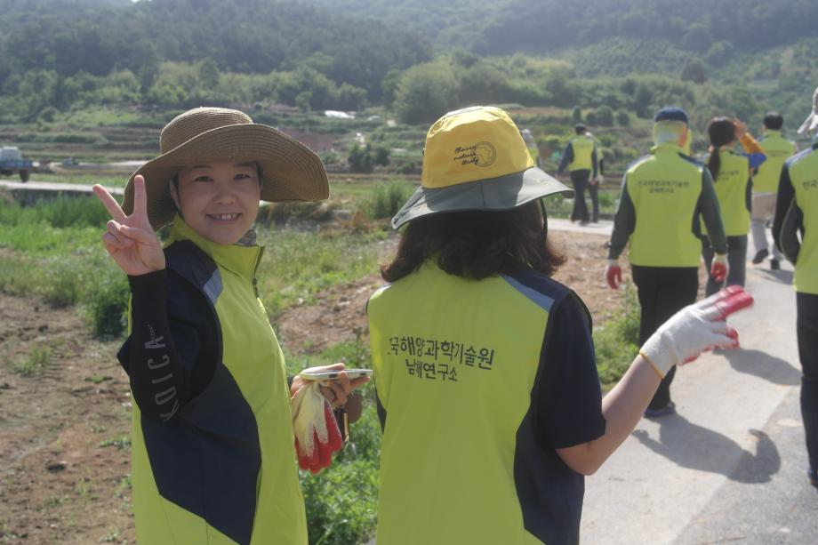 1사1촌 자매결연지역(송진포리) 양파수확 일손돕기_image2