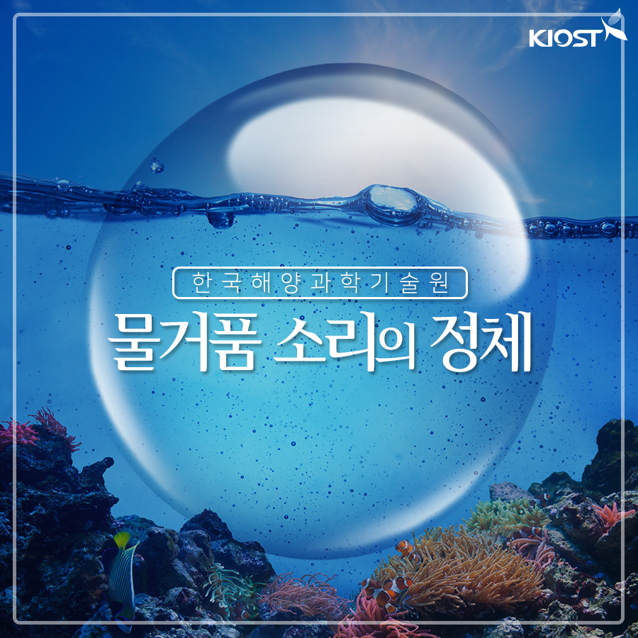 
						물거품 소리의 정체
						
						