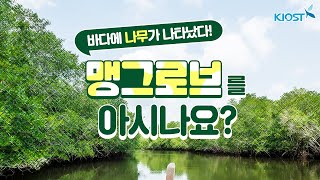 
						바다 위, 나무가 자라나다니?!
						
						