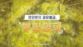 
						영양분의 과유불급, 부영양화
						
						