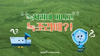 
						녹차라떼 말고 녹조라떼?! 녹조와 피해
						
						